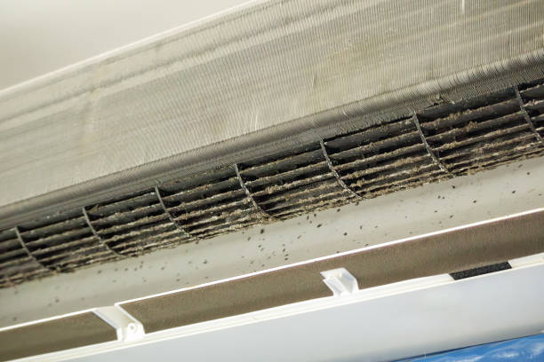 Best Best Air Duct Cleaning Company  in Colorado City, AZ